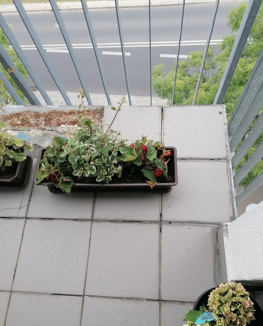 analiza awarii balkonu.webp